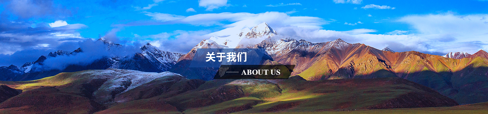 关于我们